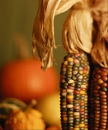 Resources for Celebrating Thanksgiving